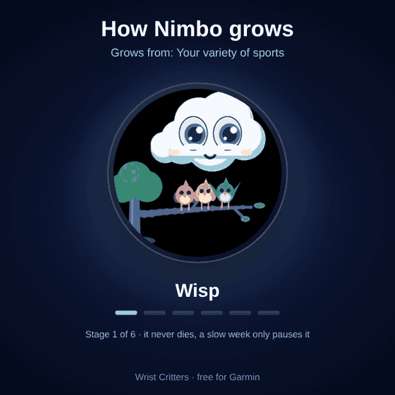 Nimbo Face – 錶面上滿是鳥的雲 · Screenshot 1