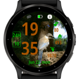 Pine Jay · Screenshot 1