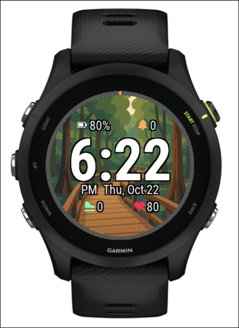 Boardwalk Loop | Congaree · Screenshot 3