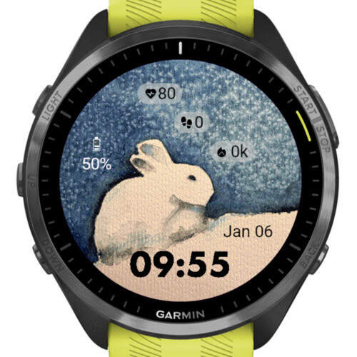 Winter Rabbit – Watercolor · Screenshot 1