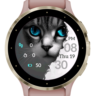 Gray Cat · Screenshot 1