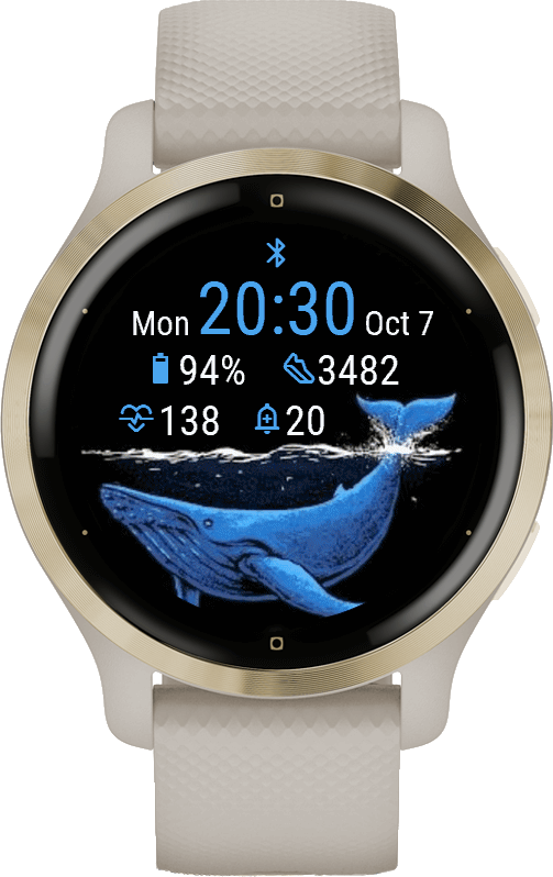 Whitewhale · Screenshot 4