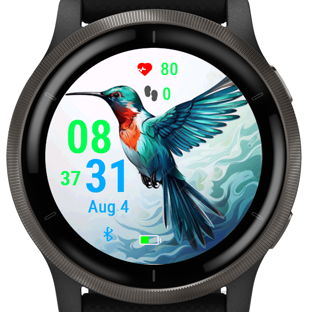 Vivid Hummingbird · Screenshot 0