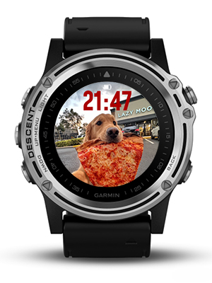 The dog eating pizza · Screenshot 0