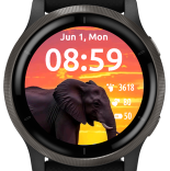 African Elephant Sunset · Screenshot 3
