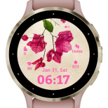 Bougainvillea · Screenshot 0