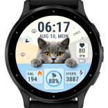 Paw Dashboard · Screenshot 1