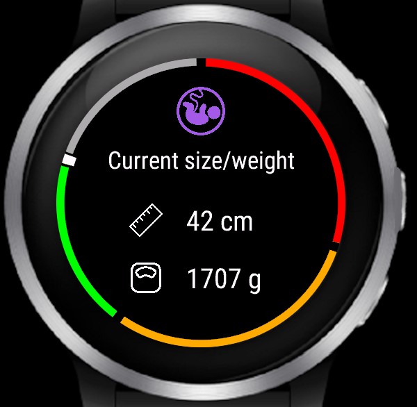 Pregnancy Widget · Screenshot 2