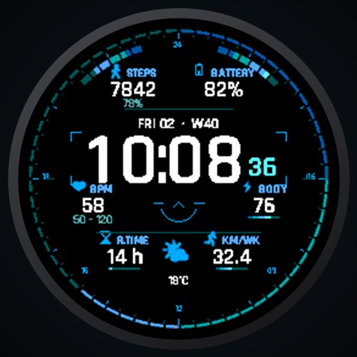 Talon HUD - Tactical Military Watch Face · Screenshot 3