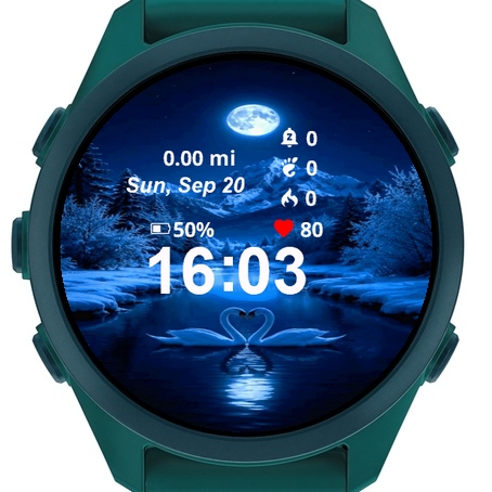 Two Swans Swimming Water · Screenshot 1