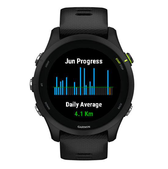 Monthly Running Distance Goal Widget · Screenshot 1