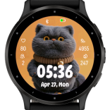 Cat 3