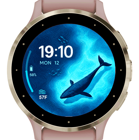 Whale Contours · Screenshot 0