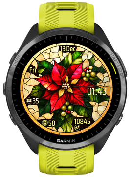 Poinsettia 2 · Screenshot 1