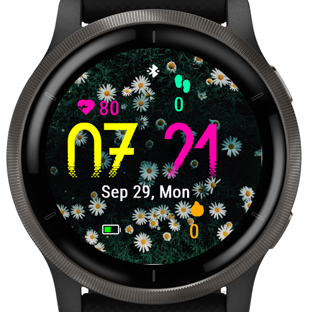 Daisy Fresh · Screenshot 0
