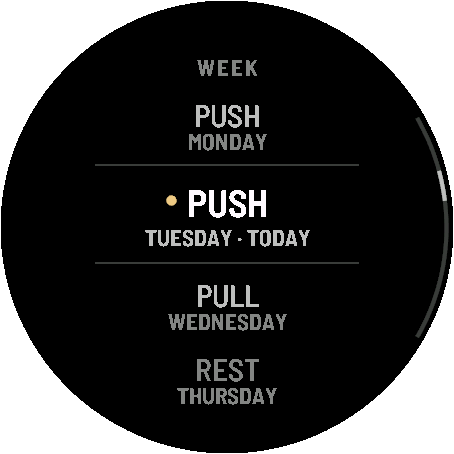Gym Notes - Simple Strength Log · Screenshot 1