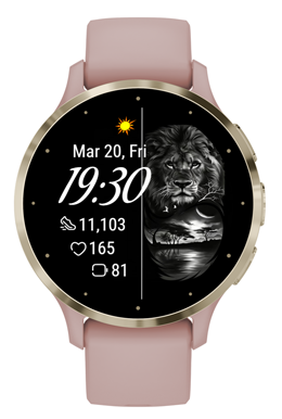 Lion Background · Screenshot 1