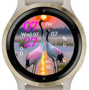 Evening Waterfowl · Screenshot 3