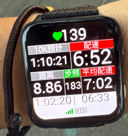 GRun Multi-Language: Your Run Data, Your Language screenshot 1