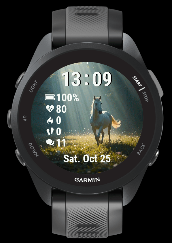 White Horse · Screenshot 1
