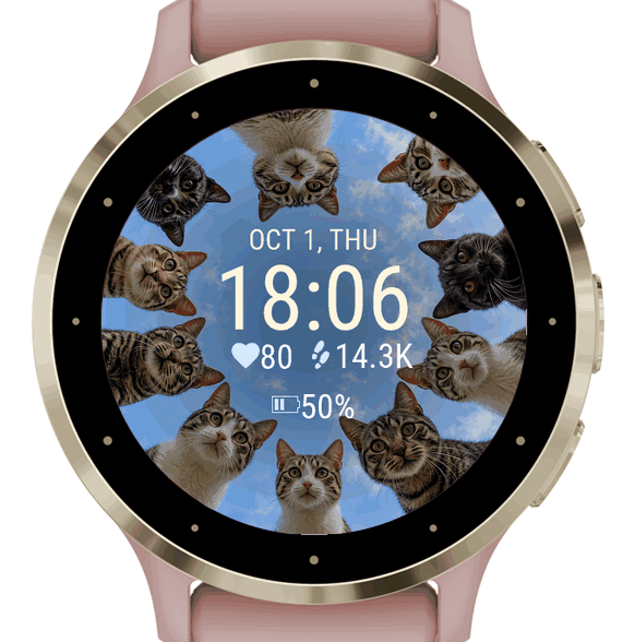 Cat Circle · Screenshot 0