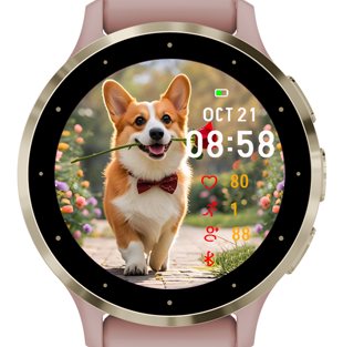 Welsh Corgi · Screenshot 3