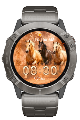 Wild Stallions · Screenshot 3