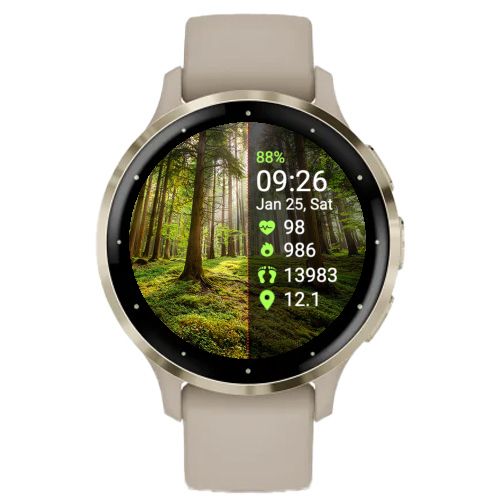 Forest 3