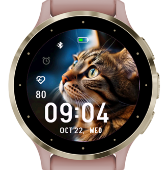 Tabby Cat · Screenshot 3