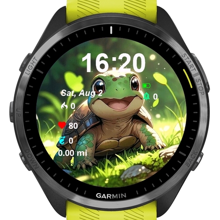 Little Cute Turtle · Screenshot 0