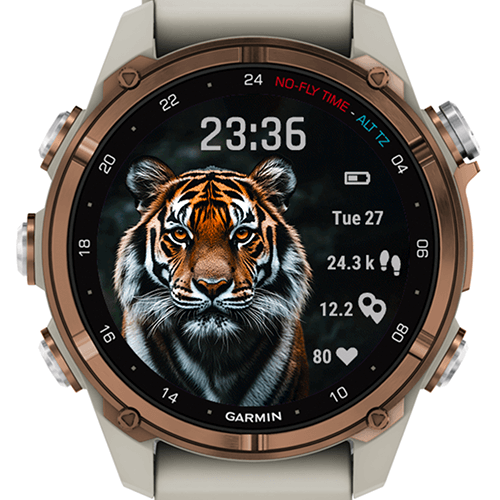 Tiger Focus G · Screenshot 3