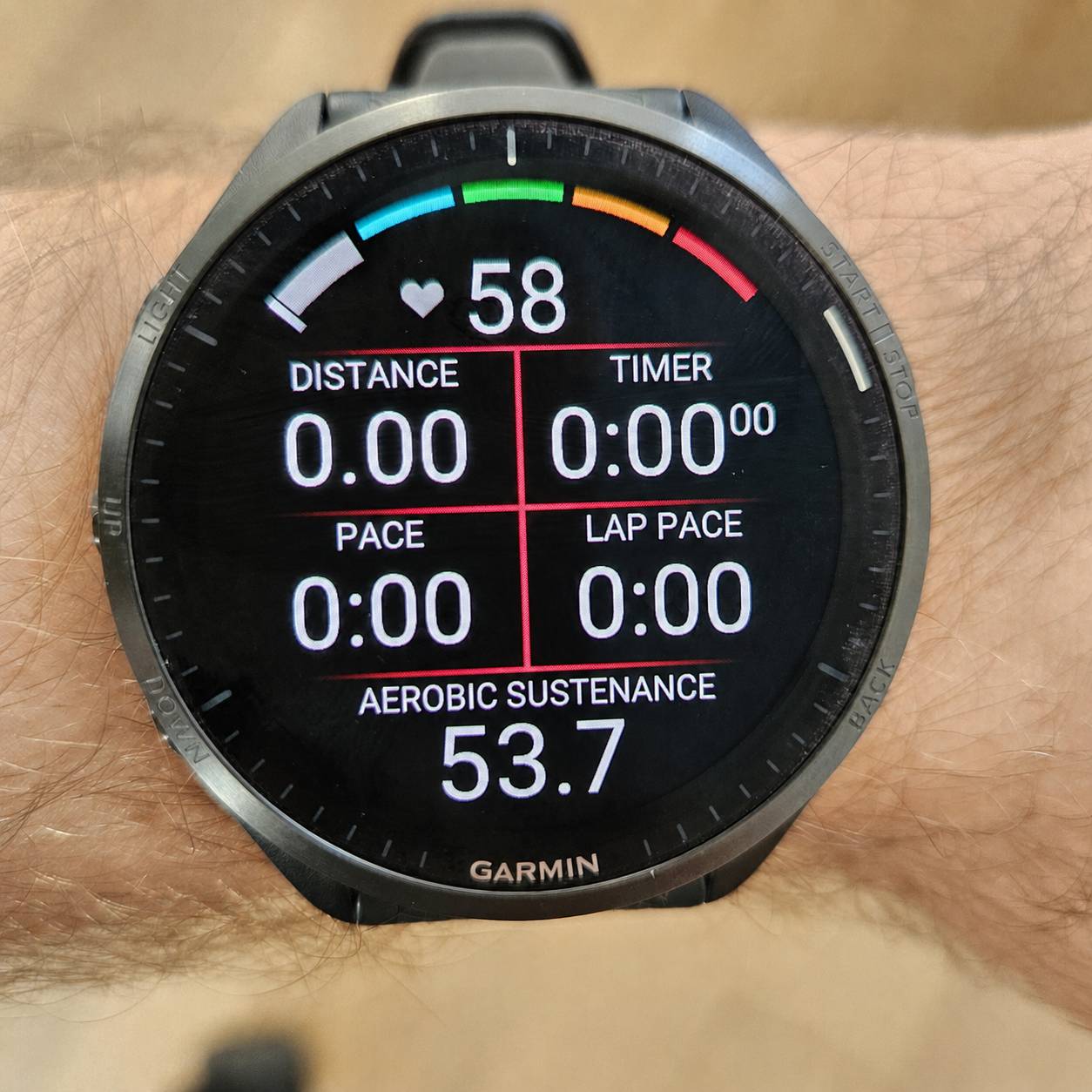 Aerobic Sustenance · Screenshot 0