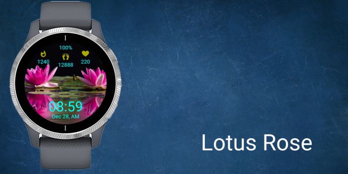 Lotus Rose · Screenshot 0