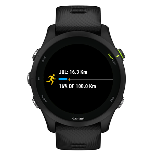 Monthly Running Distance Goal Widget · Screenshot 0