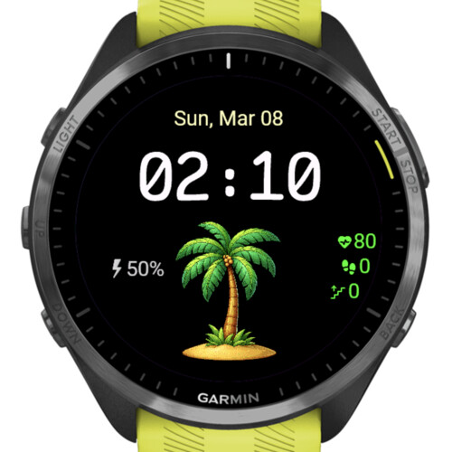 Tropical Palm 4