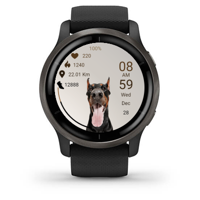 Dog 03 · Screenshot 1