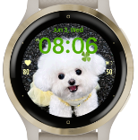 Yellow Bichon · Screenshot 0