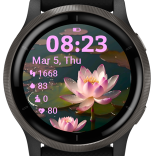 Lotus Serenity · Screenshot 0