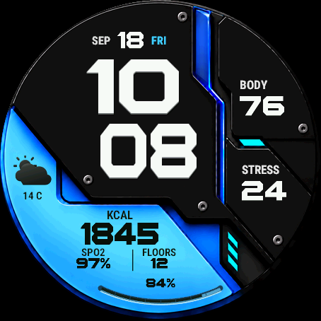 SHOT Monolith - Data Watch Face · Screenshot 2
