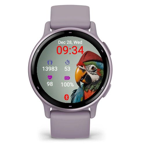 Pirate Parrot · Screenshot 4