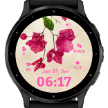 Bougainvillea · Screenshot 1