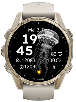 Transparent Jellyfish · Screenshot 0