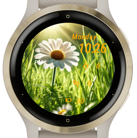 Morning Bloom · Screenshot 3