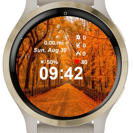 View Road Lined Yellow Leaves · Screenshot 0