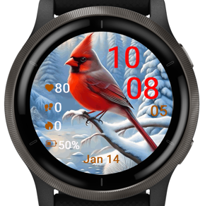 Winter Cardinal · Screenshot 2
