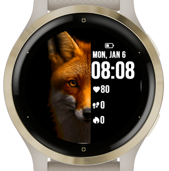 Orange Fox · Screenshot 1