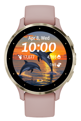 Sunset Dolphin · Screenshot 1