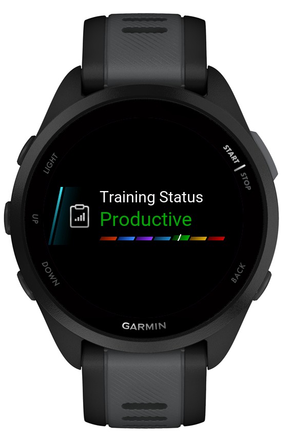 Training Status 2