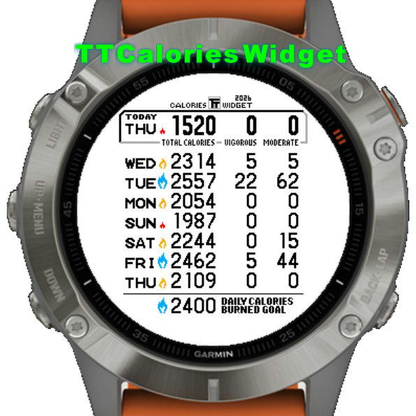 TTWalkerWidget · Screenshot 4
