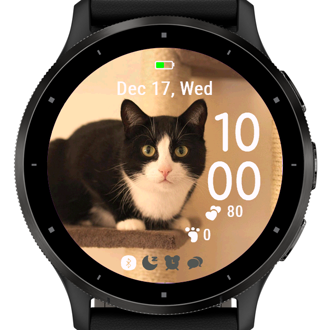 Cozy Whiskers · Screenshot 3